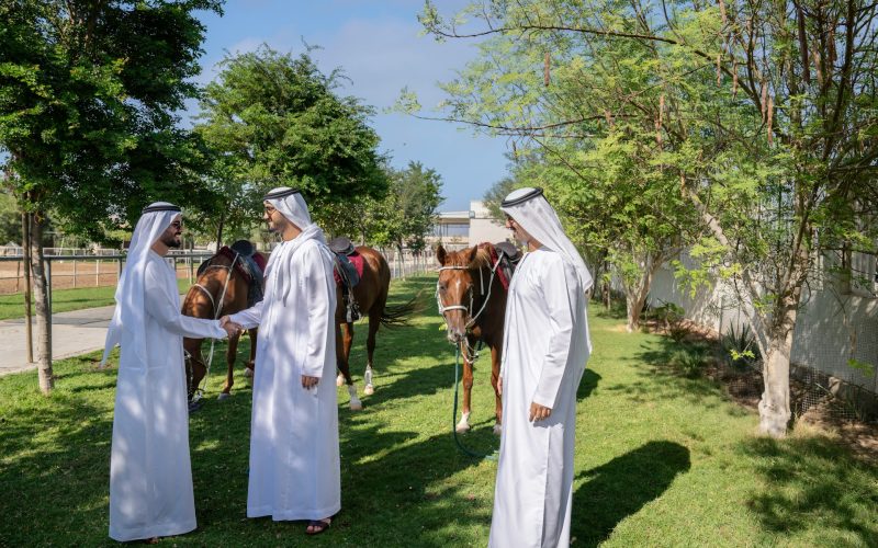 86-media-0ZJN13jxDVY-unsplash